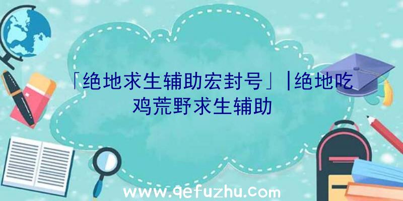 「绝地求生辅助宏封号」|绝地吃鸡荒野求生辅助